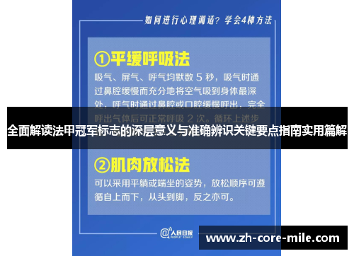 全面解读法甲冠军标志的深层意义与准确辨识关键要点指南实用篇解