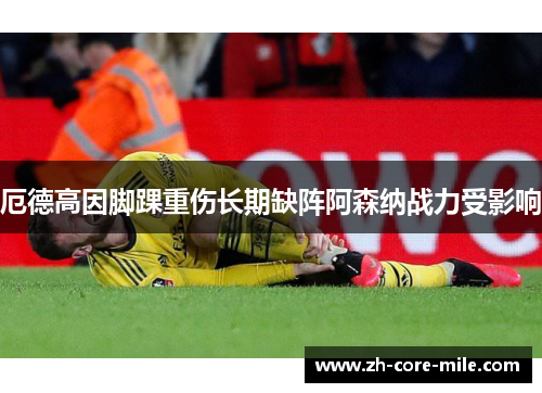 厄德高因脚踝重伤长期缺阵阿森纳战力受影响 厄德高因脚踝重伤长期缺阵阿森纳战力受影响