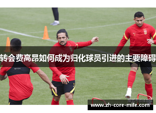 转会费高昂如何成为归化球员引进的主要障碍