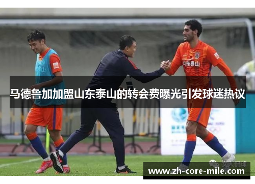 马德鲁加加盟山东泰山的转会费曝光引发球迷热议